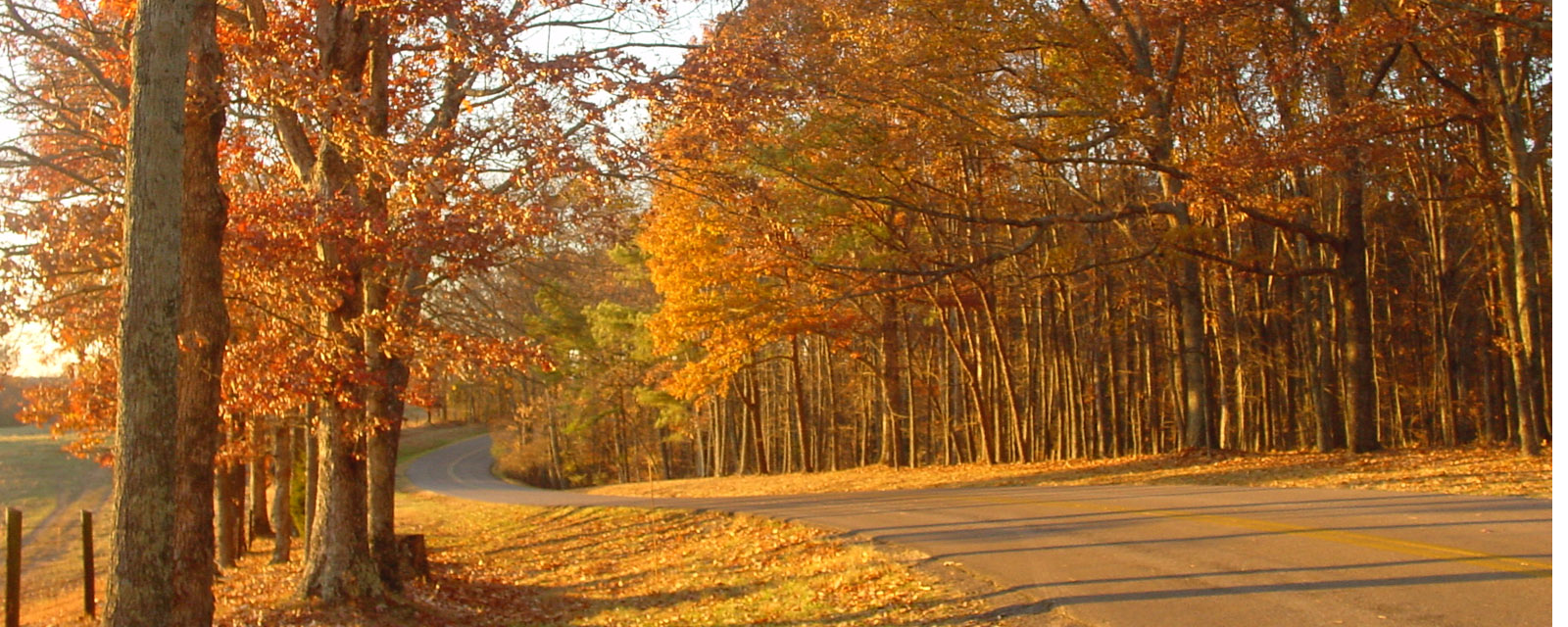 https://commons.wikimedia.org/wiki/File:Roadway_in_David_Crockett_State_Park_(Autumn_2008_-_Horizontal_Image).jpg